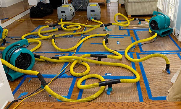 Professional Sewage Cleanup technician working in Childersburg, AL